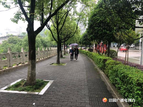 微信图片_20190518142558