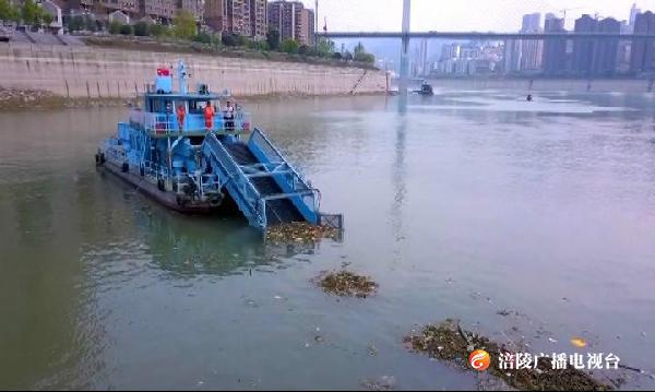 无标题