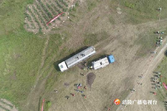 无标题