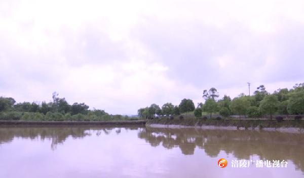 33333.00_00_23_20.静止002