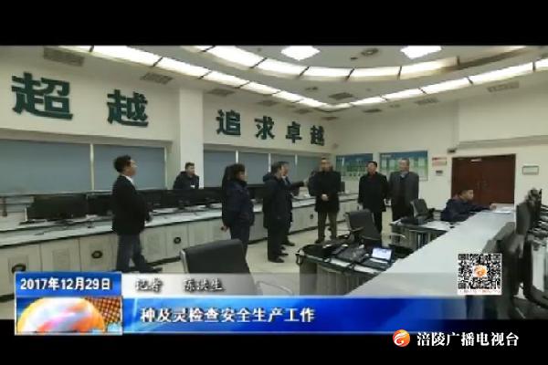种及灵检查安全生产工作