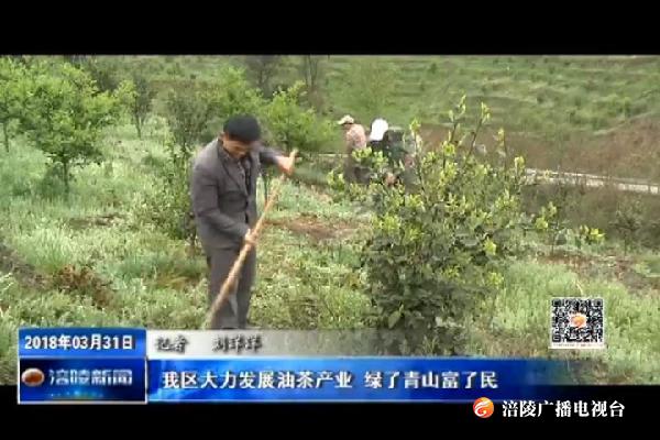 【推动重庆各项事业沿着习近平总书记指引的方向奋力前行】我区大力发展油茶产业 绿了青山富了民