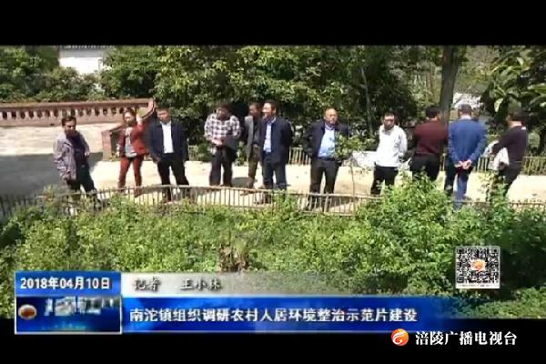 南沱镇组织调研农村人居环境整治示范片建设
