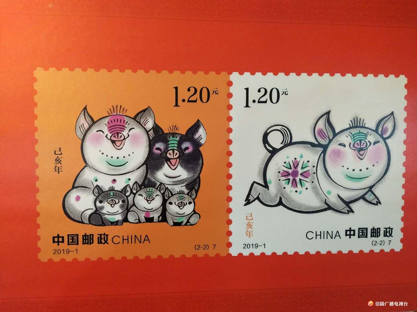 萌猪来袭！《己亥年》生肖邮票今日首发，吉祥寓意讨人喜