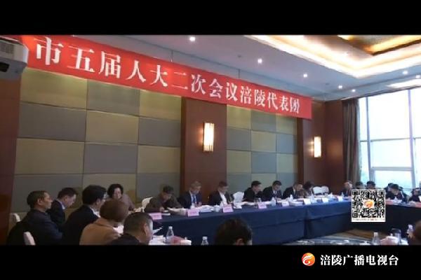 涪陵代表团审议市政府工作报告