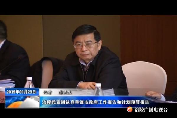 涪陵代表团认真审议市政府工作报告和计划预算报告