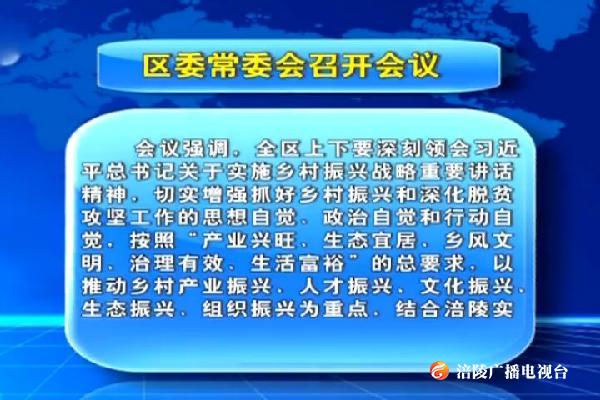 区委常委会召开会议