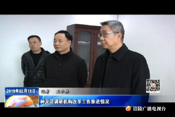 种及灵调研机构改革工作推进情况