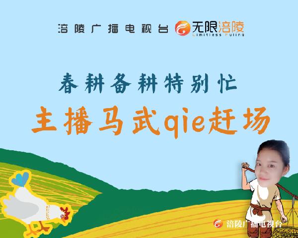 春耕备耕——主播带你qie马武赶场