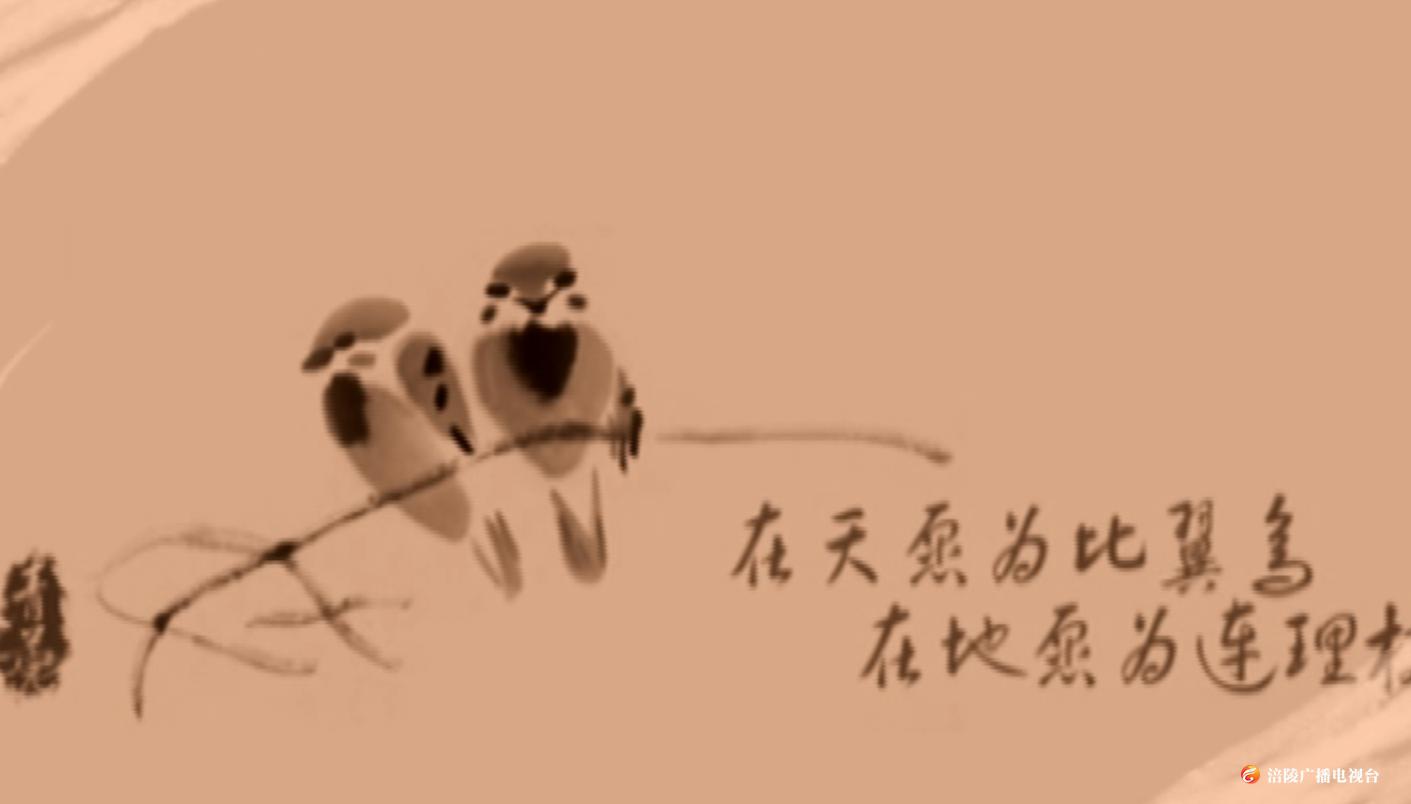 “比翼鸟”是否真实存在？来《钩深大讲堂》找答案吧~