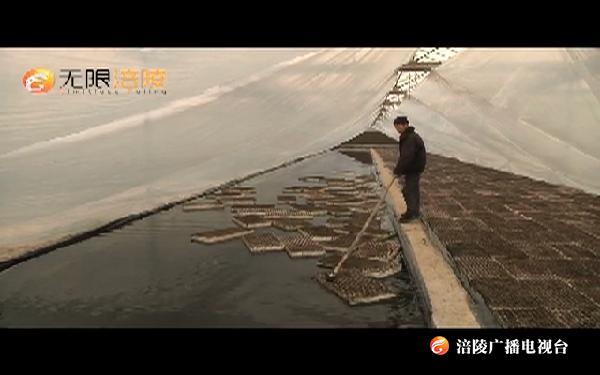 人勤春来早 烤烟育苗正当 焦石镇全面启动烤烟育苗工作