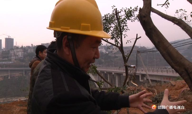 37年坚守，风雨兼程，披星戴月，只为城市的一片绿！