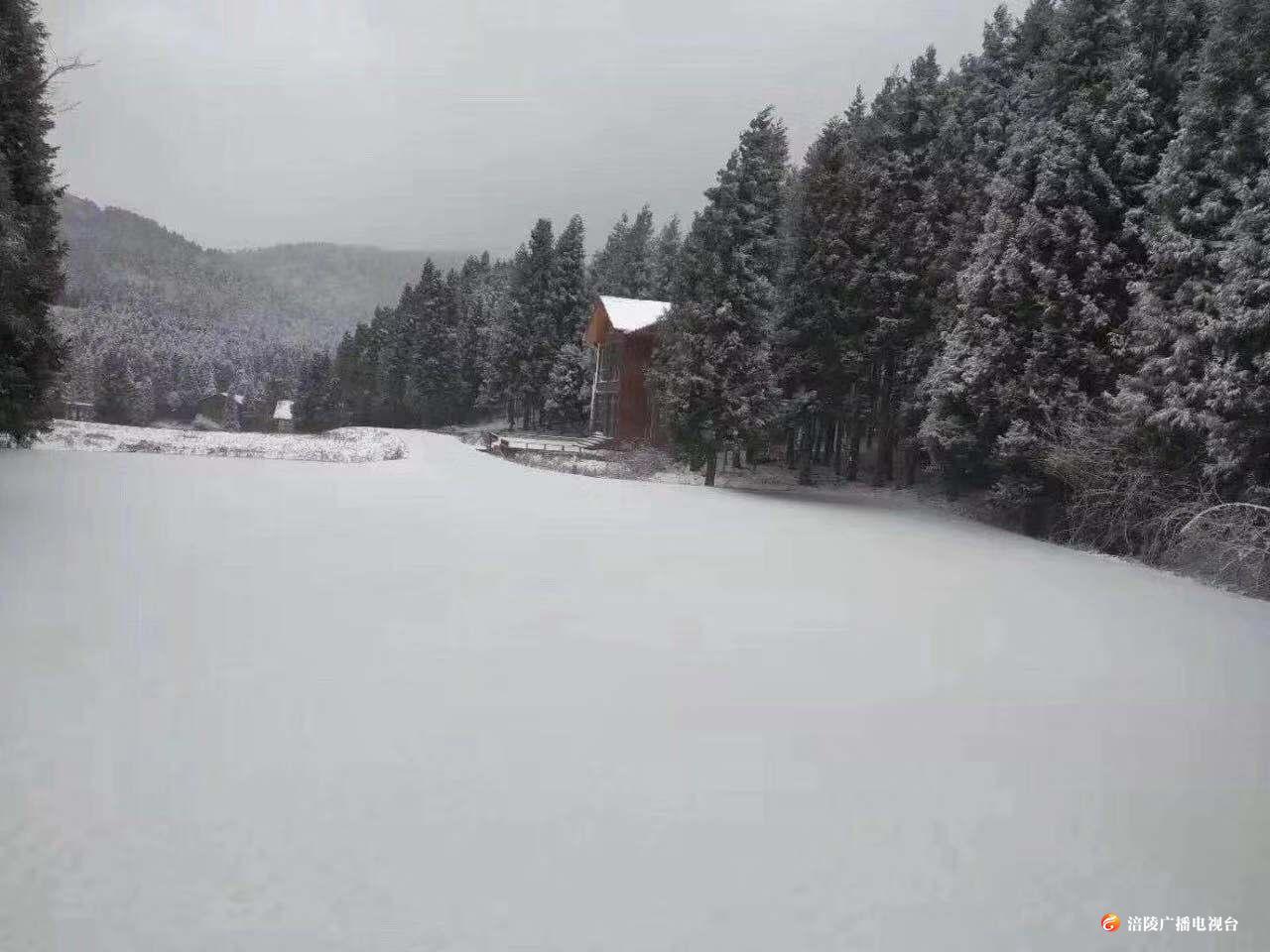 在这个春天里，邂逅一场雪！