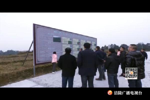 种及灵在同乐大顺蹲点“促改督战”