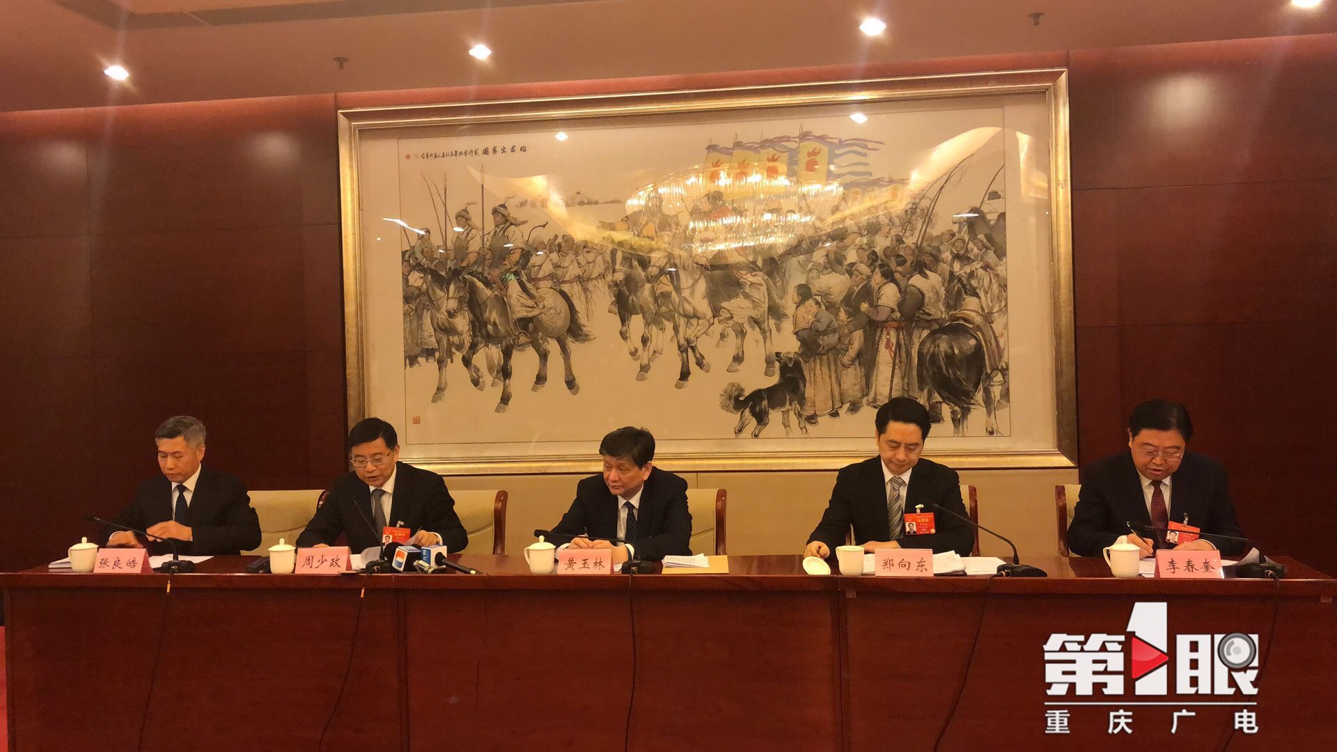 人大代表谈“长江经济带共抓大保护，不搞大开发”