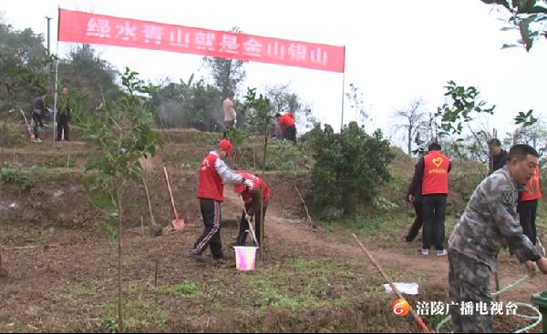 执“籽“之手~为涪陵添点绿！涪陵区级机关干部开展集中义务植树活动