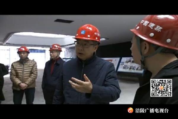 种及灵检查重点项目推进情况