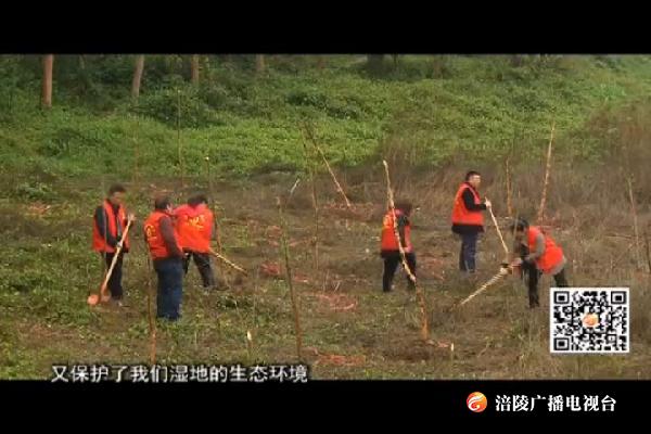 我区启动长江上游生态屏障先行示范基地建设