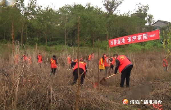 “洁净长江水 流入百姓家” 建设长江上游生态屏障，我区这样做！