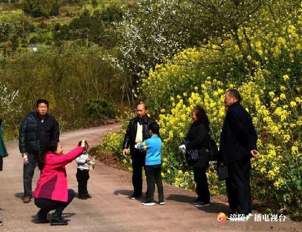糟糕，是心动的感觉！春天踏青去哪里？今天带你看看这个地方