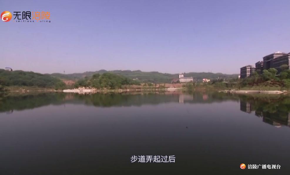 休闲公园、绿色长廊，新城区的气质和颜值不一般！