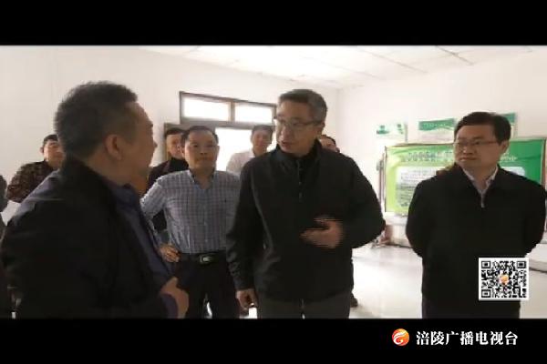 种及灵调研国家现代农业产业园创建工作