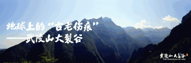 去武陵山大裂谷耍的朋友注意啦！即日起至4月6日，索道暂停运行哟！