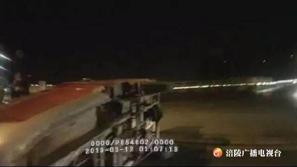 又一“醉猫”被逮！