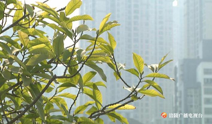 清明时节雨纷纷？NO！雨过天晴啦~