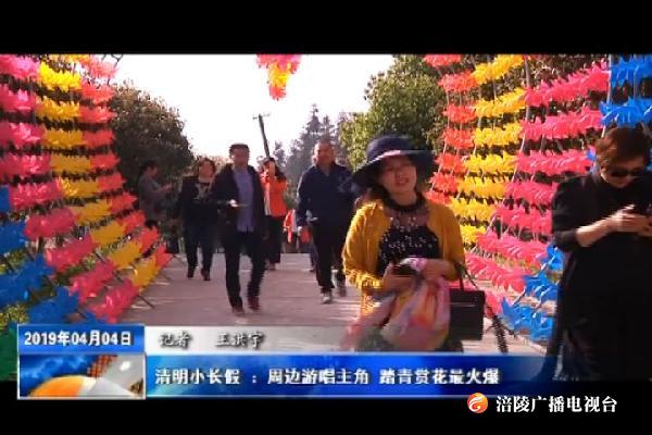 清明小长假 ：周边游唱主角 踏青赏花最火爆