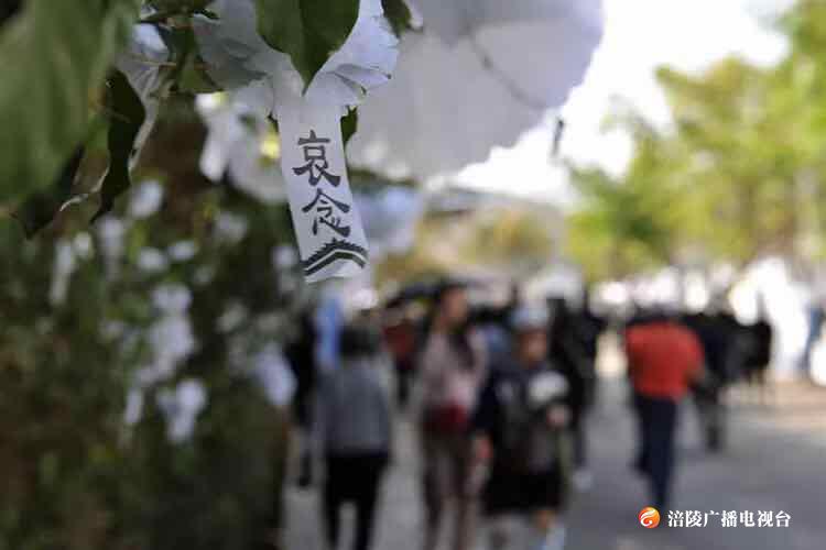 《江城悦读会》第五十一期节目：如果你在，就好了