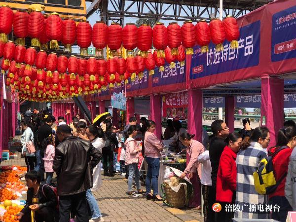 小长假首日：吃青团、“秀”书法，美心红酒小镇好热闹！
