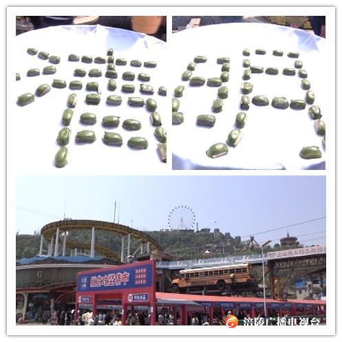 三天揽金3.4亿！现场视频告诉你，涪陵清明假期旅游有多火？