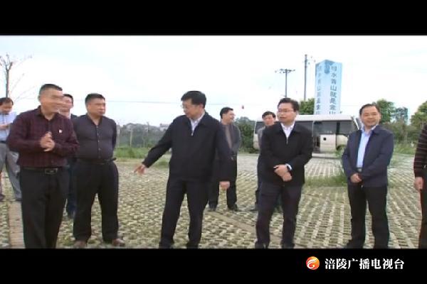 周少政调研南沱镇睦和村人居环境整治情况