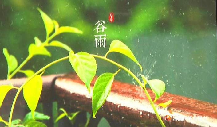 明日“谷雨”， 有雨！涪陵人这几件事别忘了做~