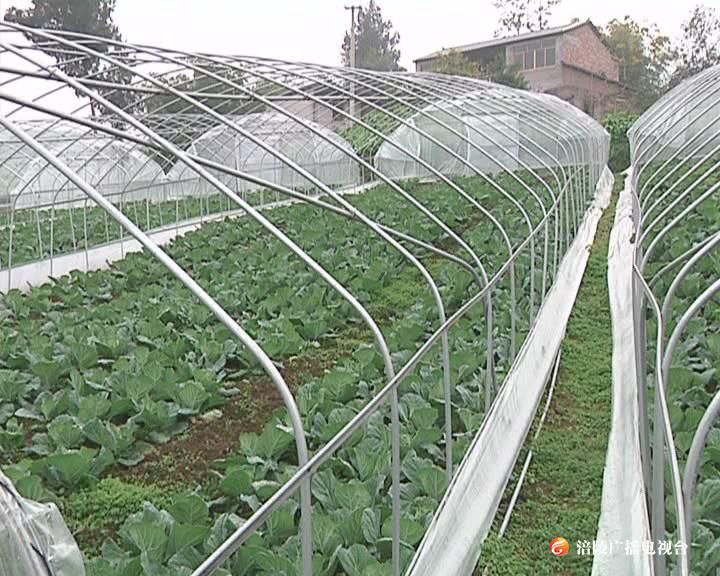 鼓掌！涪陵本土32家农业企业获“重庆市农业产业化市级龙头企业”称号！