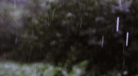 这个周末，又是新一轮强降雨！最高气温下降5℃！