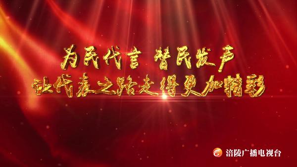【人大之窗】原来人大代表是这样履职的