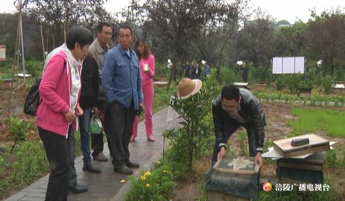 5·20世界蜜蜂日  “甜蜜”事业促绿色发展