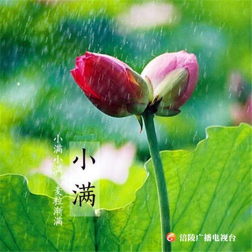 今日小满丨将满未满，人生最好的状态