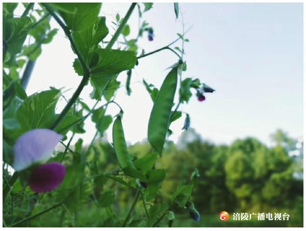 《江城悦读会》|寻常，不寻常