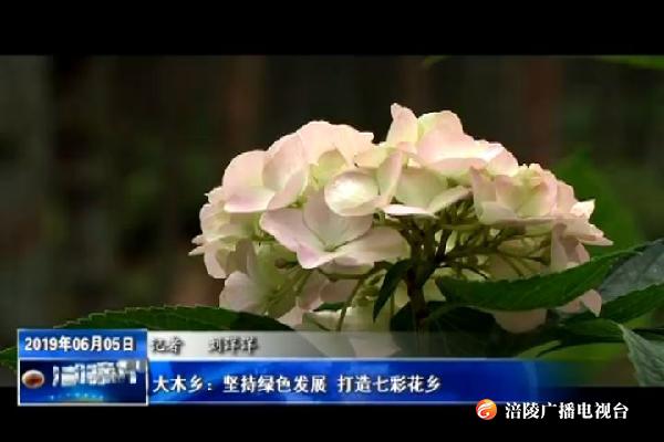 【把习近平总书记殷殷嘱托落实到重庆大地】大木乡：坚持绿色发展_打造七彩花乡
