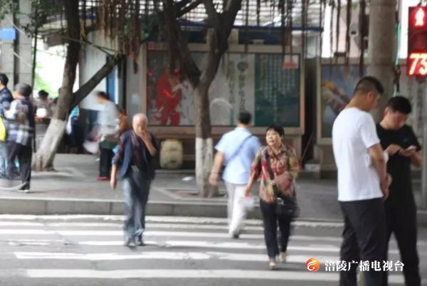 注意！乱穿马路、翻越护栏......这些违法行为将被整治！