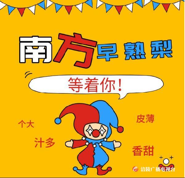 300亩香甜的梨子等你摘！