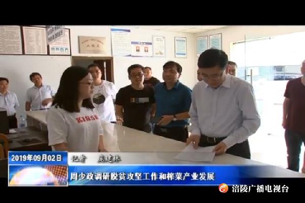 周少政调研脱贫攻坚工作和榨菜产业发展