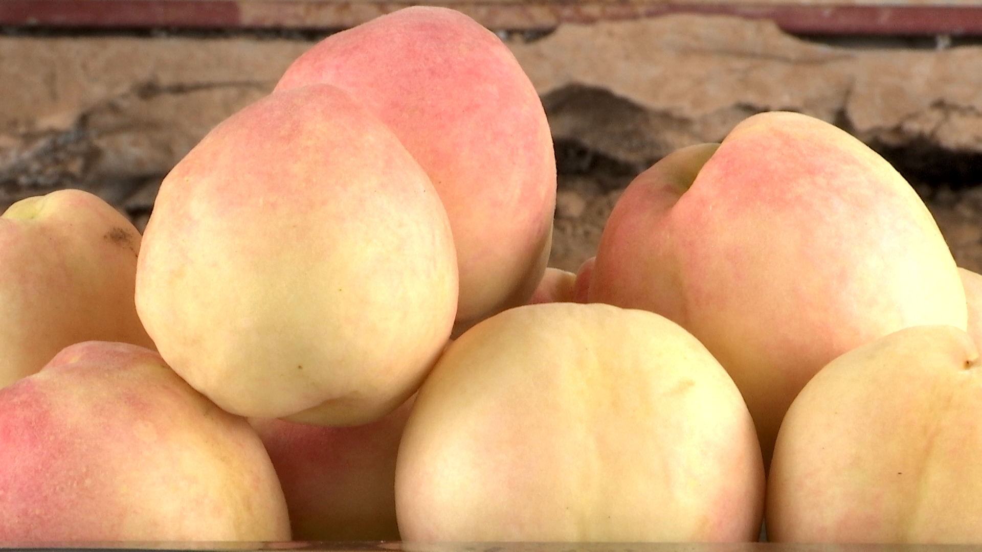 一起去摘蜜桃！