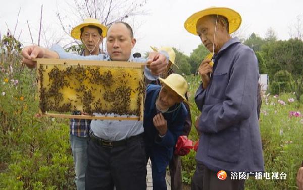这场技术培训，让贫困户的日子越过越“甜”