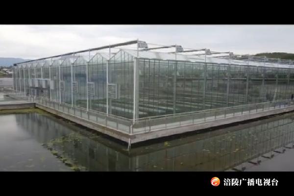 全市首个水上植物工厂在我区建成