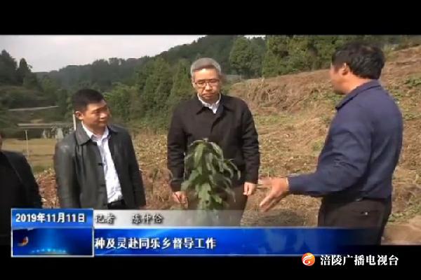 【不忘初心 牢记使命主题教育进行时】种及灵赴同乐乡督导工作