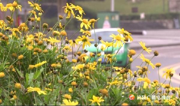 花点时间 被治愈